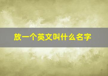 放一个英文叫什么名字