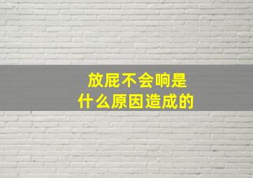 放屁不会响是什么原因造成的