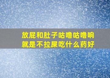 放屁和肚子咕噜咕噜响就是不拉屎吃什么药好