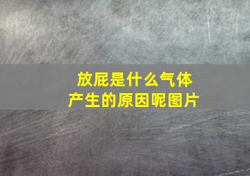 放屁是什么气体产生的原因呢图片