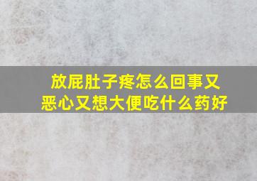 放屁肚子疼怎么回事又恶心又想大便吃什么药好