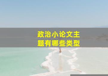 政治小论文主题有哪些类型