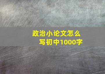 政治小论文怎么写初中1000字