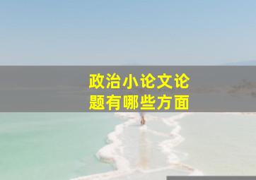 政治小论文论题有哪些方面