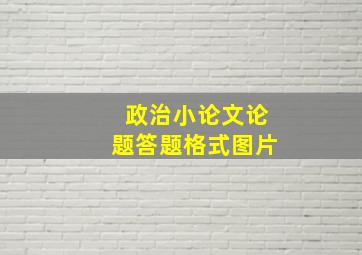 政治小论文论题答题格式图片