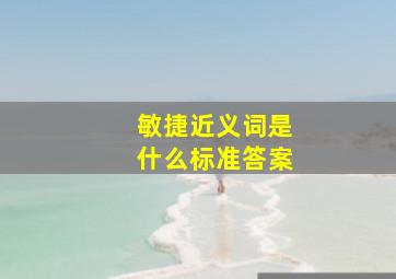 敏捷近义词是什么标准答案