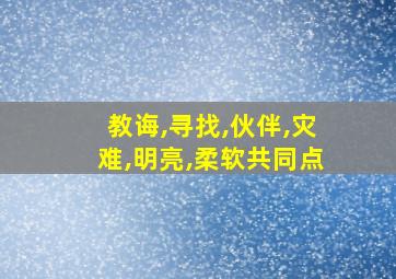 教诲,寻找,伙伴,灾难,明亮,柔软共同点