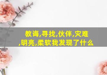 教诲,寻找,伙伴,灾难,明亮,柔软我发现了什么