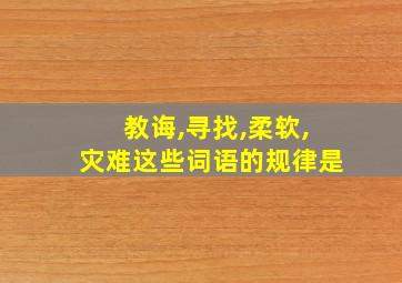 教诲,寻找,柔软,灾难这些词语的规律是