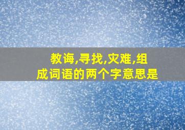 教诲,寻找,灾难,组成词语的两个字意思是