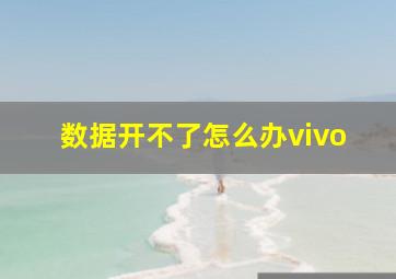 数据开不了怎么办vivo