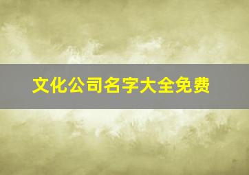 文化公司名字大全免费