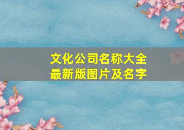 文化公司名称大全最新版图片及名字