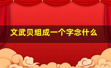 文武贝组成一个字念什么