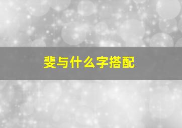 斐与什么字搭配