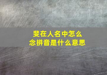 斐在人名中怎么念拼音是什么意思