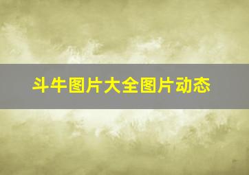 斗牛图片大全图片动态