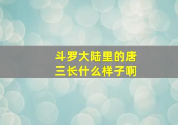 斗罗大陆里的唐三长什么样子啊