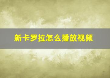 新卡罗拉怎么播放视频