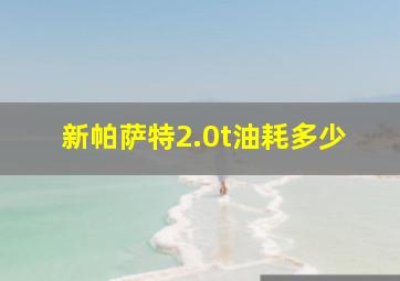 新帕萨特2.0t油耗多少