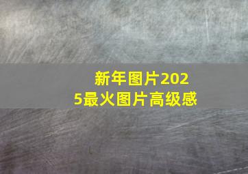 新年图片2025最火图片高级感