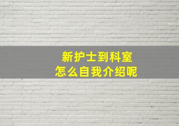 新护士到科室怎么自我介绍呢