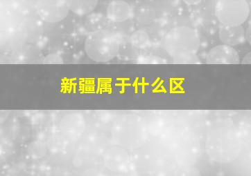 新疆属于什么区