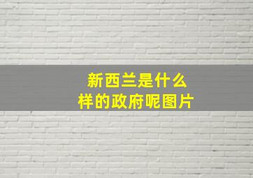 新西兰是什么样的政府呢图片