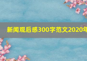 新闻观后感300字范文2020年