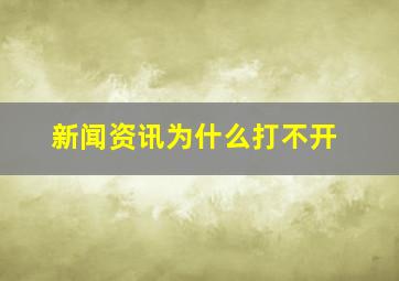 新闻资讯为什么打不开