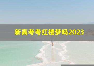 新高考考红楼梦吗2023