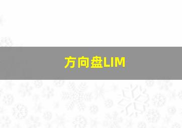 方向盘LIM