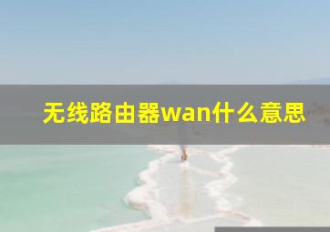 无线路由器wan什么意思