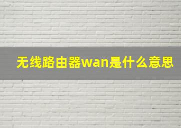 无线路由器wan是什么意思