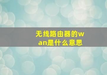 无线路由器的wan是什么意思