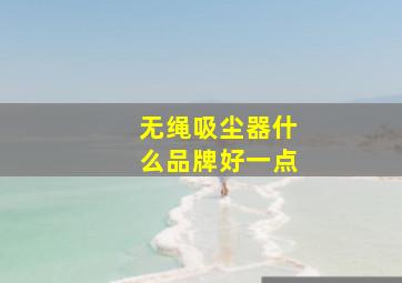 无绳吸尘器什么品牌好一点