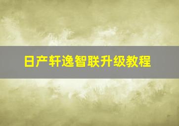 日产轩逸智联升级教程