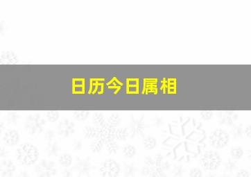 日历今日属相