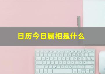 日历今日属相是什么