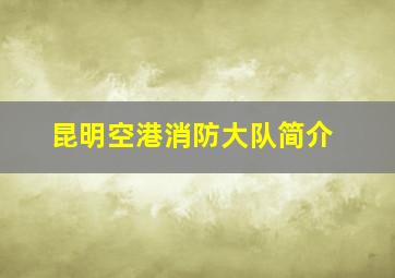 昆明空港消防大队简介