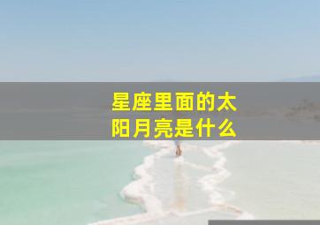 星座里面的太阳月亮是什么