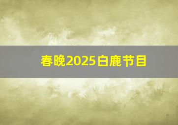 春晚2025白鹿节目