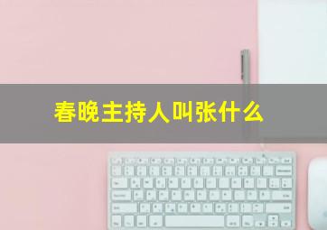 春晚主持人叫张什么