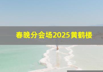 春晚分会场2025黄鹤楼