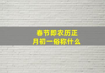 春节即农历正月初一俗称什么