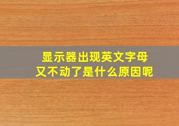 显示器出现英文字母又不动了是什么原因呢