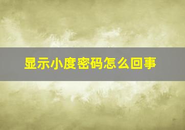 显示小度密码怎么回事