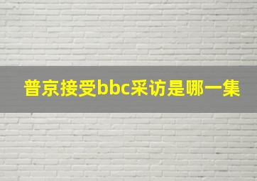 普京接受bbc采访是哪一集