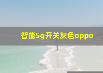 智能5g开关灰色oppo