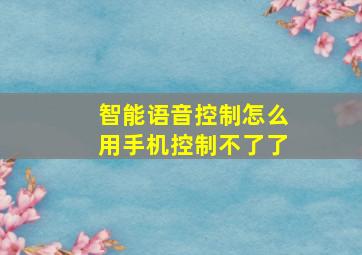 智能语音控制怎么用手机控制不了了